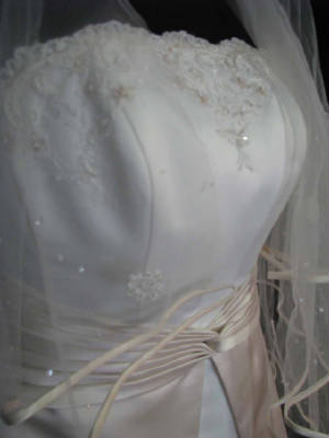 gown front detail.jpg