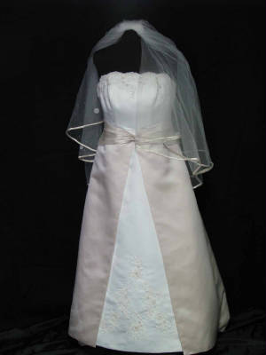 David's Bridal Gown #41 Gown Front with Viel